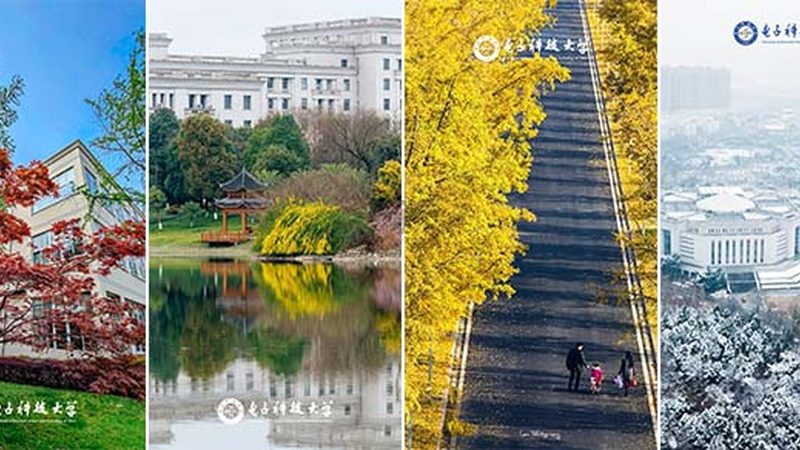 芯片散热方案：揭秘其原理与选购要点